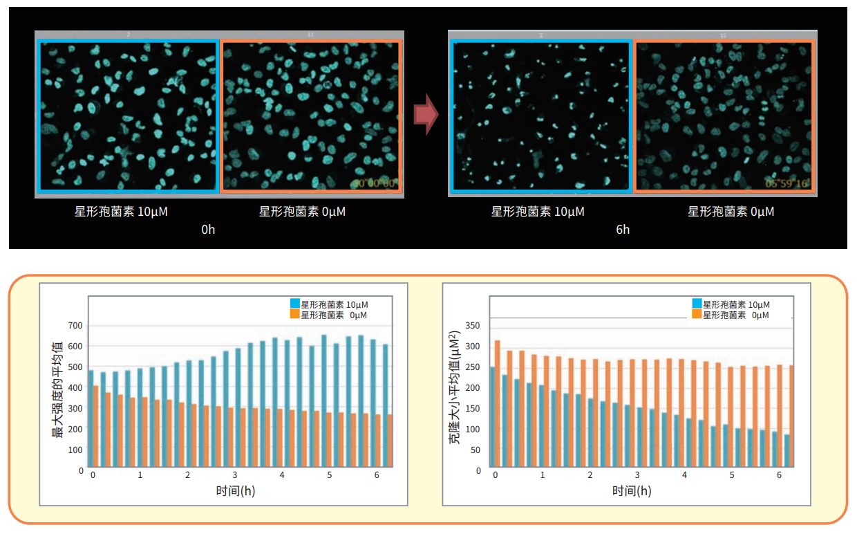 應(yīng)用5 延時(shí)分析細(xì)胞凋亡.png 應(yīng)用5 延時(shí)分析細(xì)胞凋亡.png