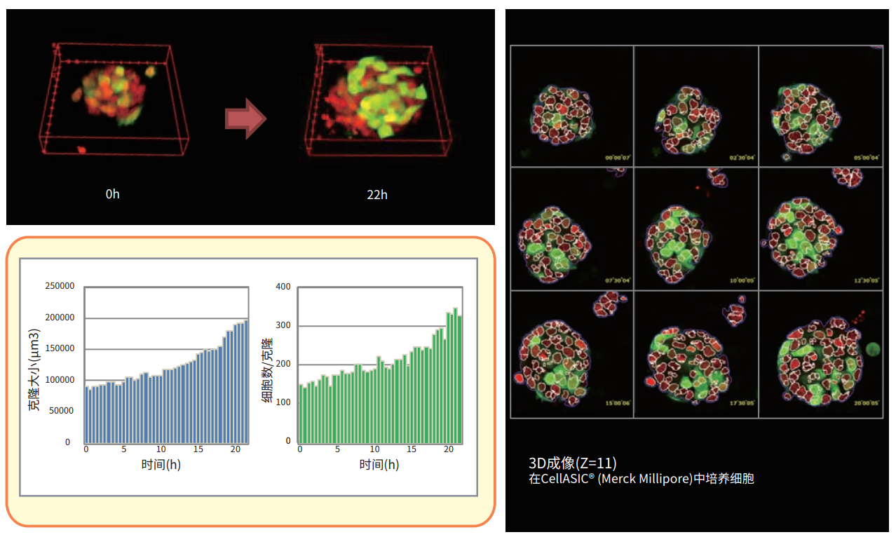 應(yīng)用6 延時(shí)分析ESC克隆.png 應(yīng)用6 延時(shí)分析ESC克隆.png