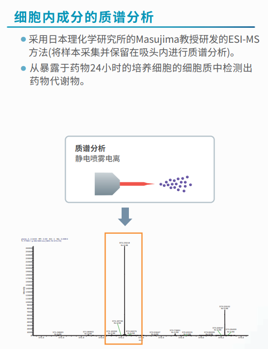 細胞內(nèi)成分的質譜分析.png 細胞內(nèi)成分的質譜分析.png
