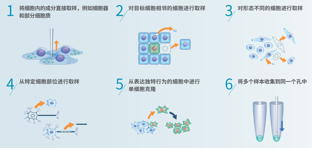 應用總述.png 應用總述.png